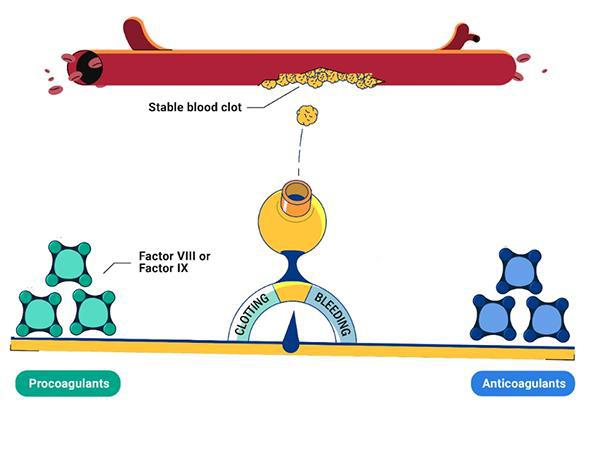How does antithrombin work