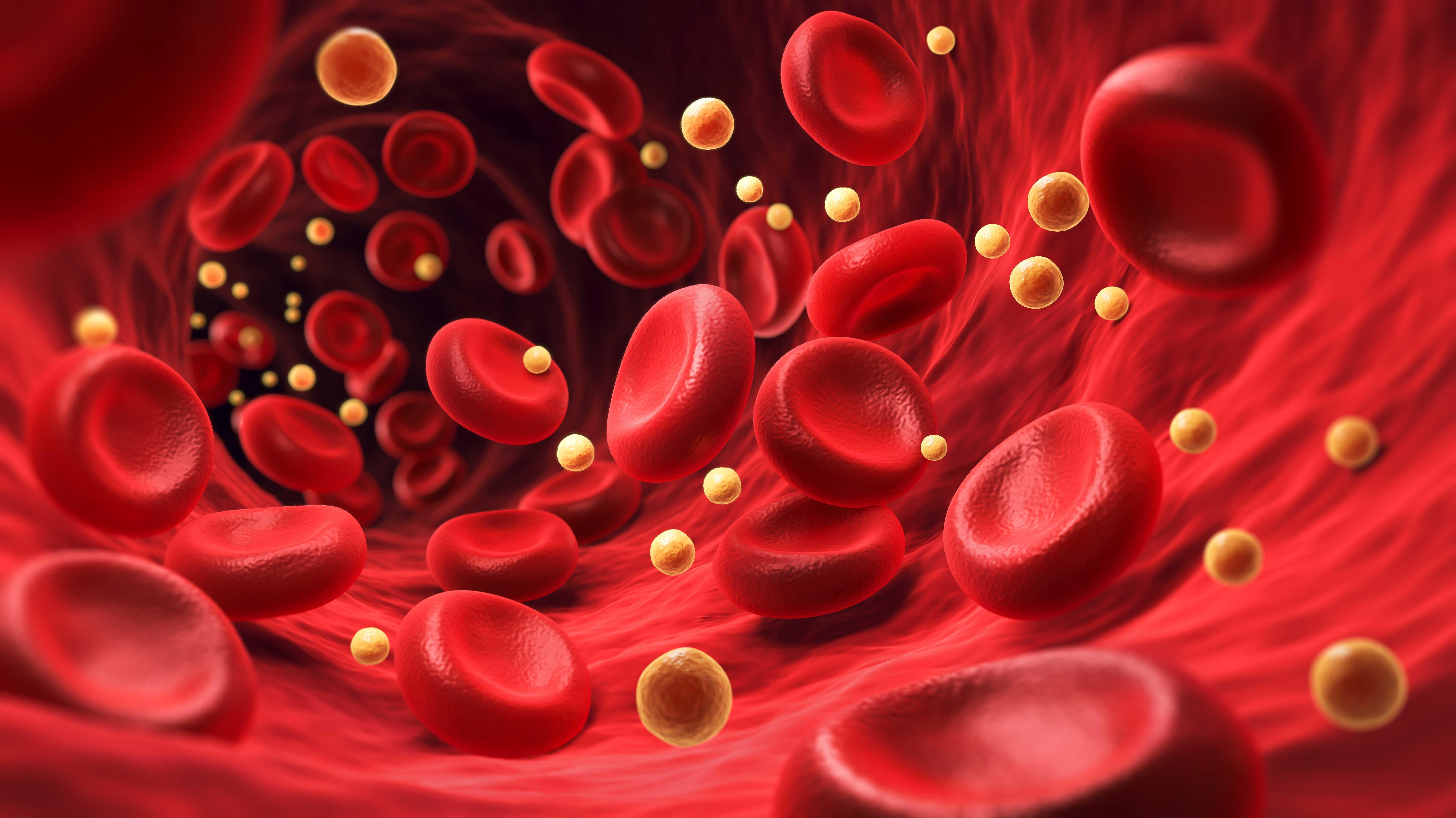 Image of blood cells