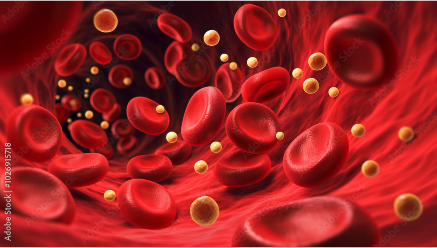 Blood Cells